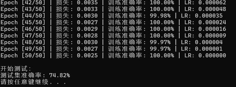 训练过程与测试结果